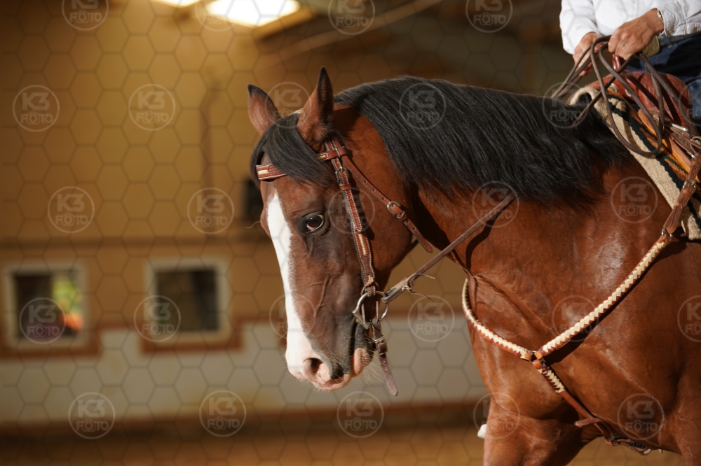 s_A9_06887.jpg